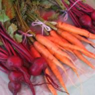 Beets & Carrots
